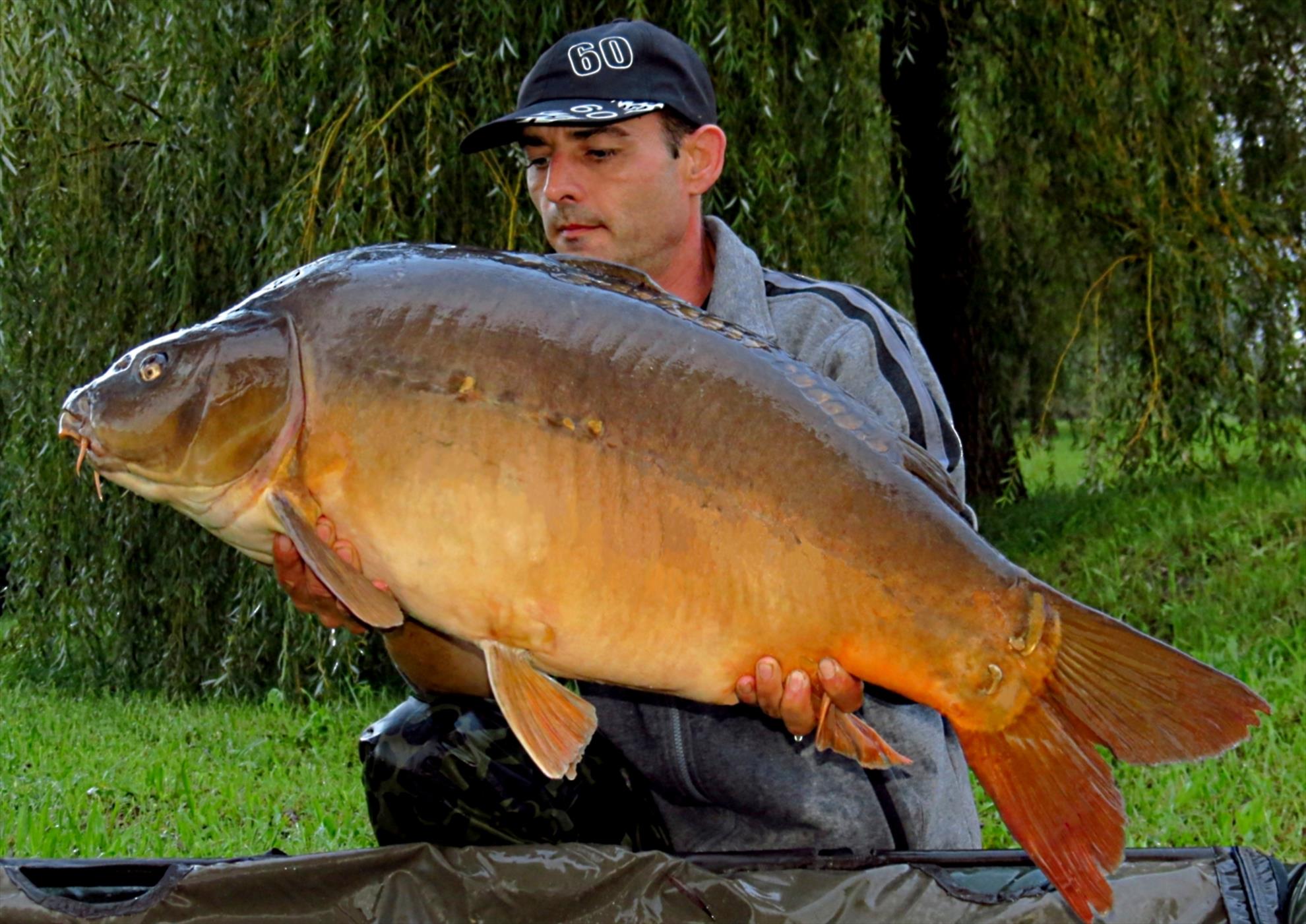 Palici Sep.2014 - img6081-008-oglinda-1814-kg-la-420.JPG